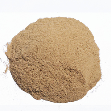 Autolyzed Yeast Powder Brewer Yeast 40%45% For Animal Feeding